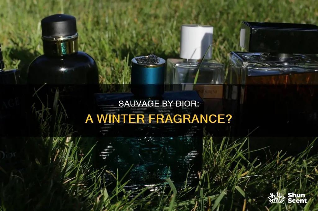 is dior sauvage a winter fragrance