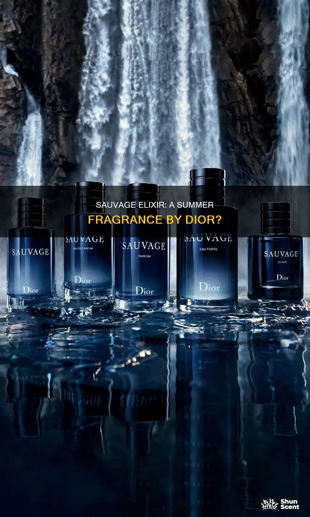 is dior sauvage elixir a summer fragrance