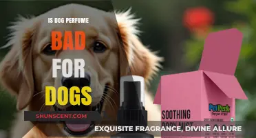 Perfume for Dogs: Safe or Harmful?