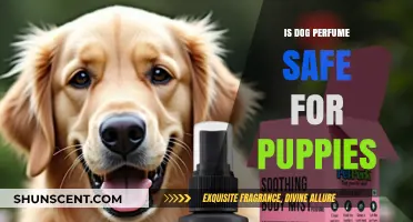 Dog Perfume: Safe for Puppies?