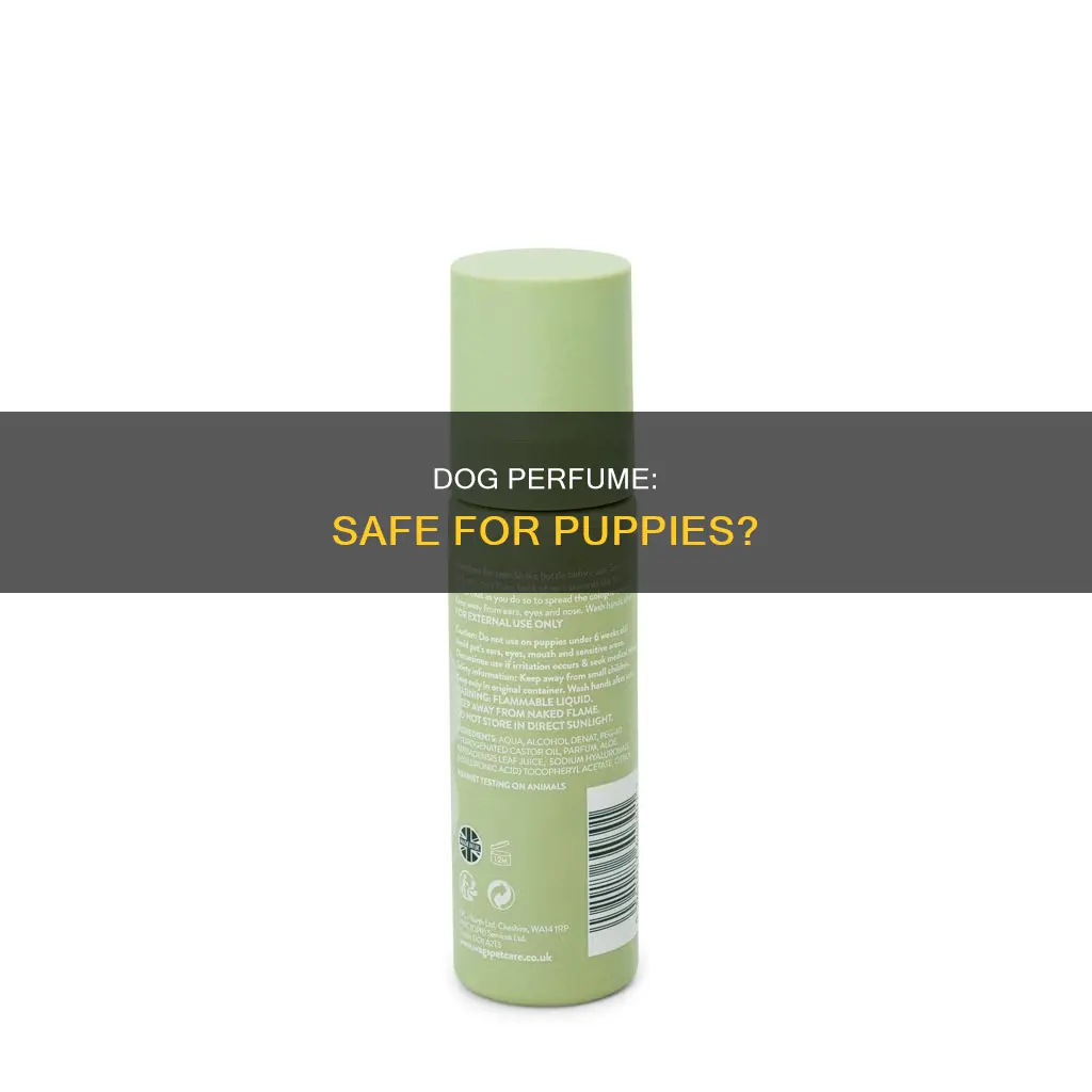is dog perfume safe for puppies