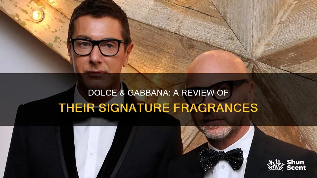 is dolce and babbana good fragrances