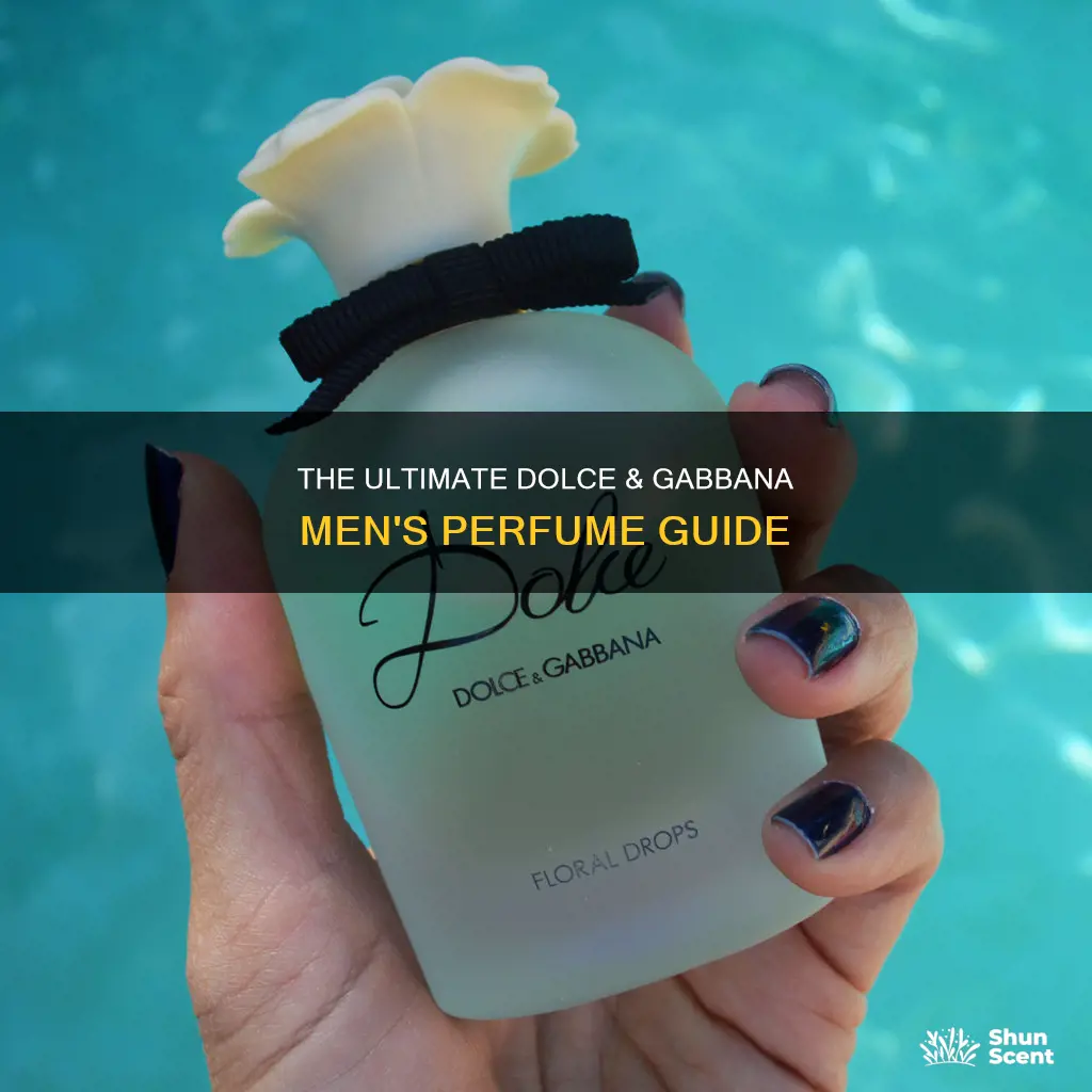 is dolce and gabana men perfume