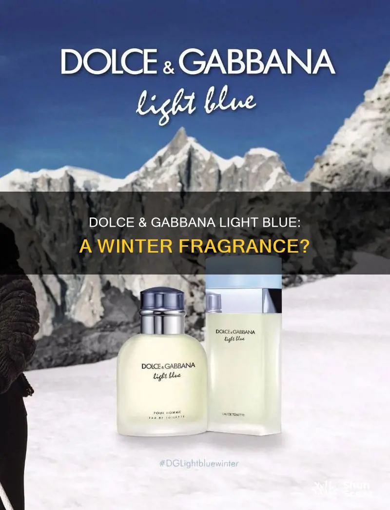 is dolce and gabbana light blue a winter fragrance