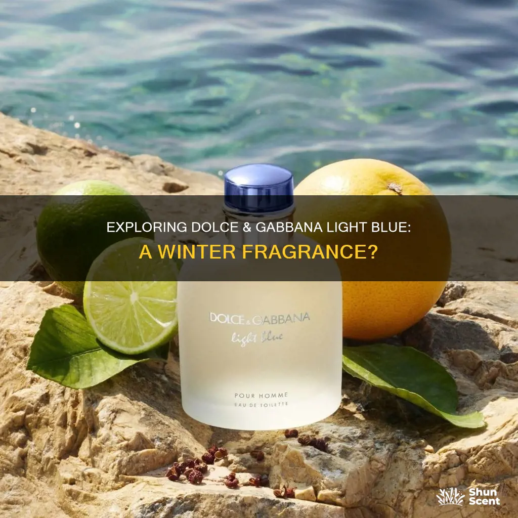 is dolce and gabbana light blue a winter fragrance