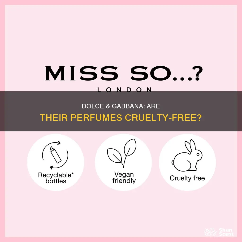 is dolce and gabbana perfume cruelty free