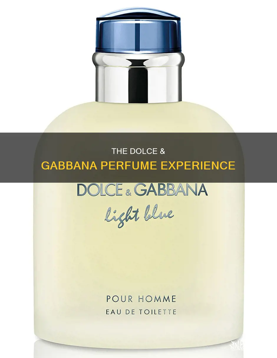 is dolce and gabbana perfume good