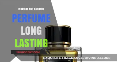 Dolce & Gabbana: Long-Lasting Fragrance or Quick Fade?