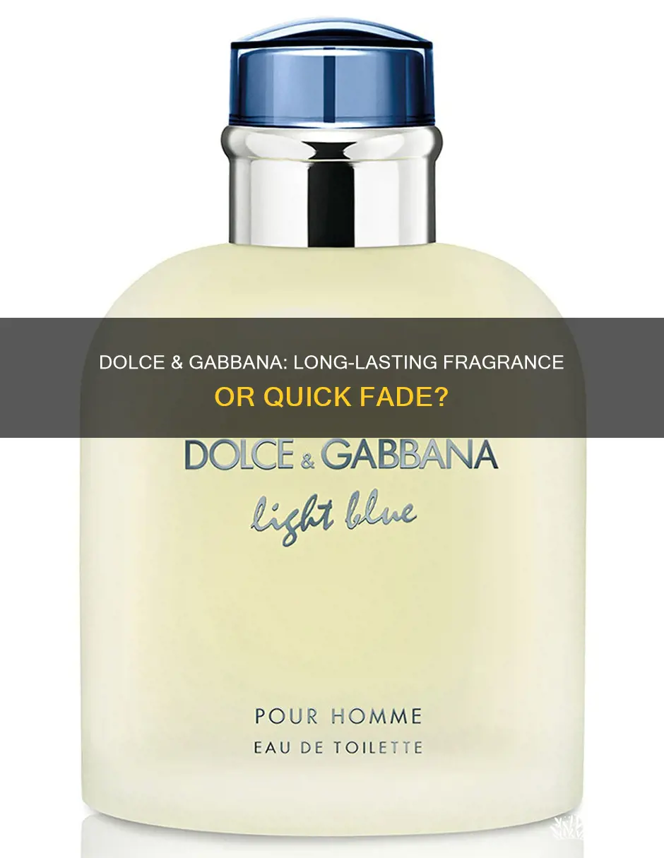 is dolce and gabbana perfume long lasting