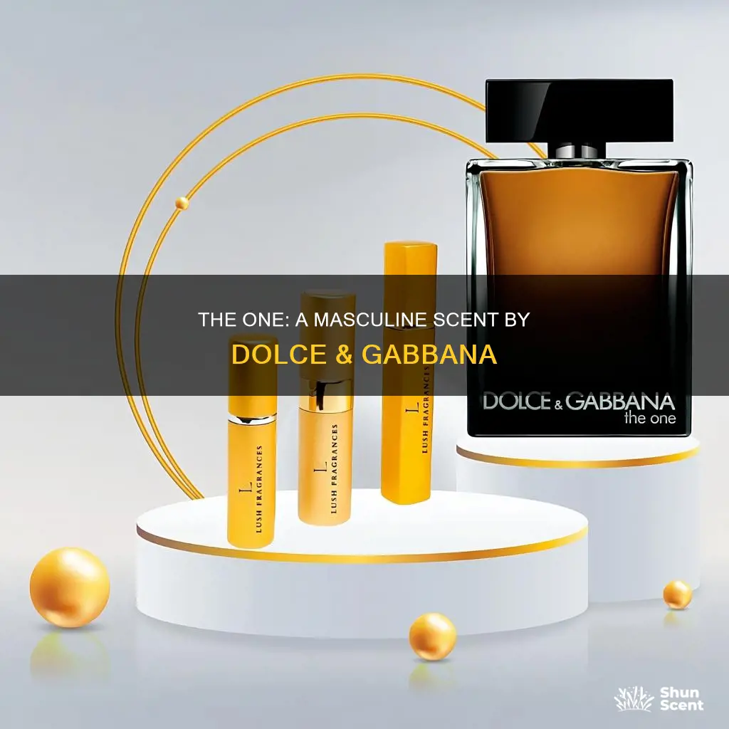 is dolce and gabbana the one a man