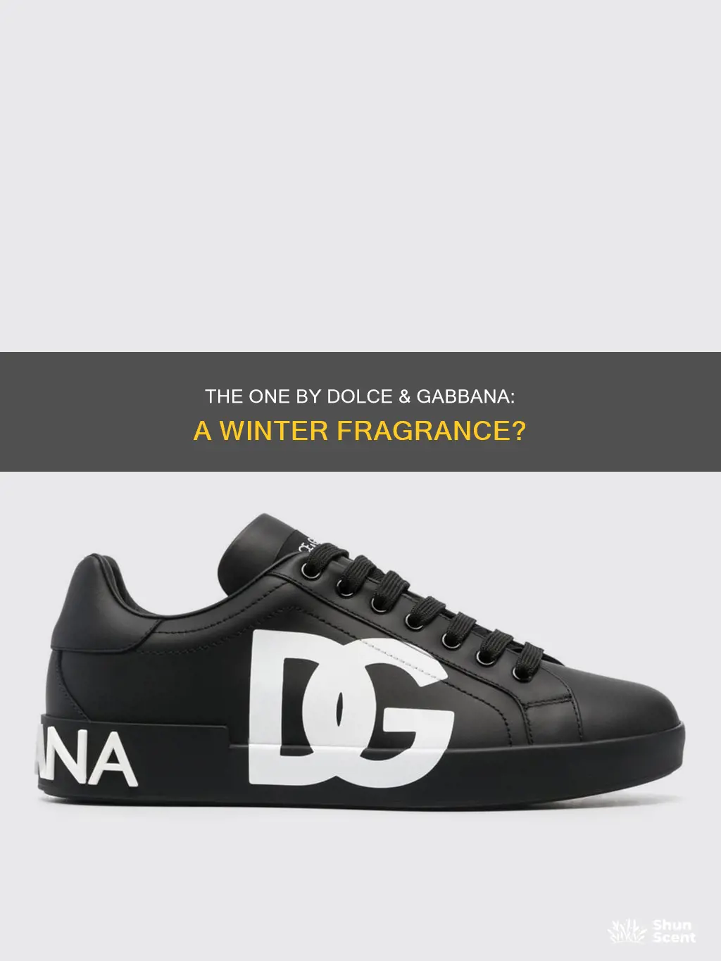 is dolce and gabbana the one a winter fragrance