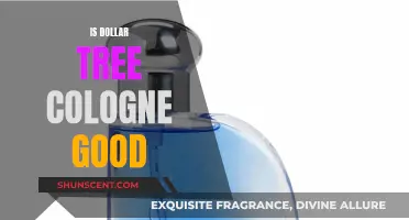 Dollar Tree Cologne: Worth the Money or Waste?