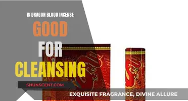 Dragon Blood Incense: Cleansing Power of Mythical Proportions