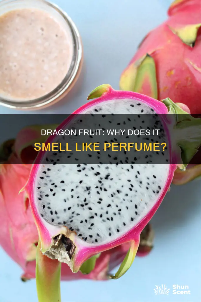 is dragon fruit supposed to taste like perfume