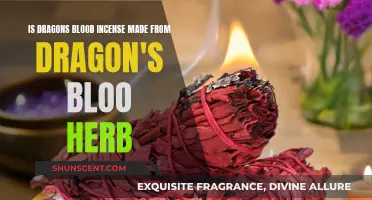 Is Dragon's Blood Incense Linked to Dragon's Blood Trees?