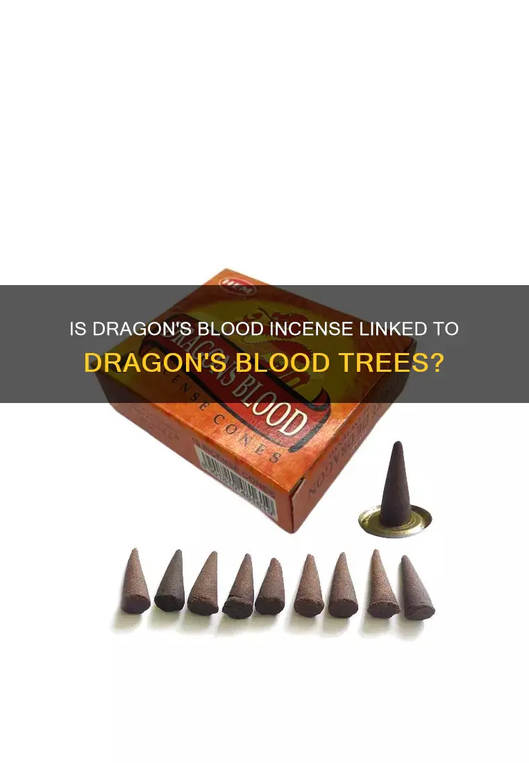is dragons blood incense made from dragon