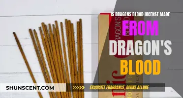 Incense Mystery: Is Dragon's Blood Really From Dragons?