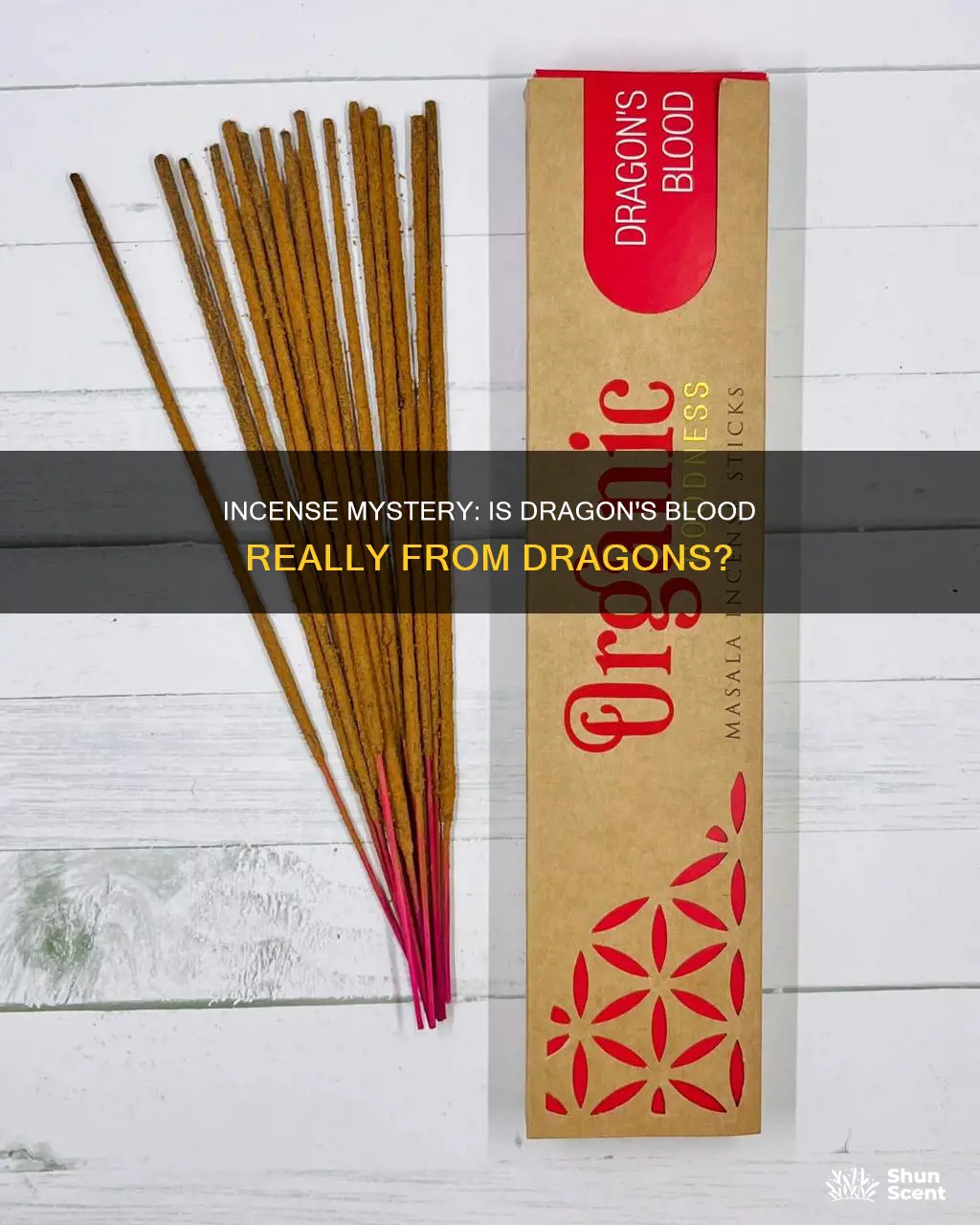 is dragons blood incense made from dragon
