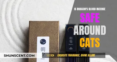 Incense and Cats: Is Dragon's Blood Safe?