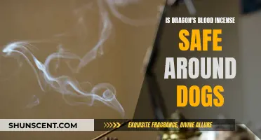 Incense and Canines: Is Dragon's Blood Safe?