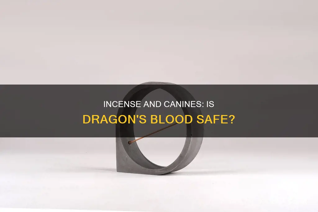 is dragon