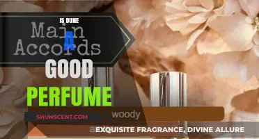 Dune: A Classic Fragrance Worth the Hype?