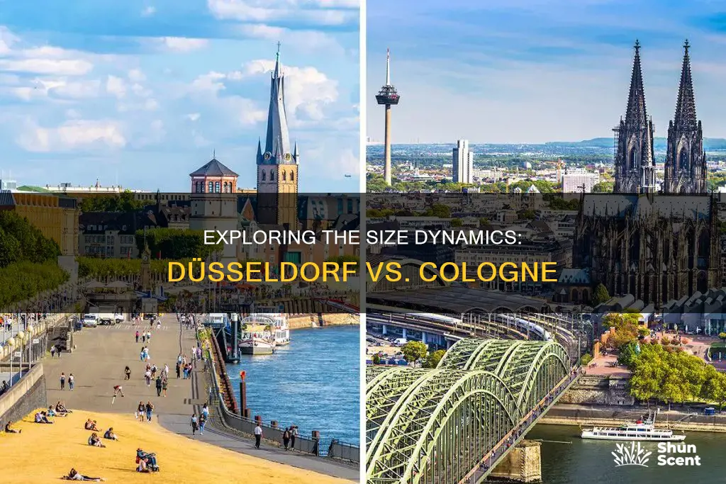 is dusseldorf bigger than cologne