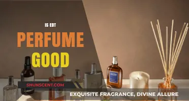 EDT Perfume: Is It Worth the Hype?
