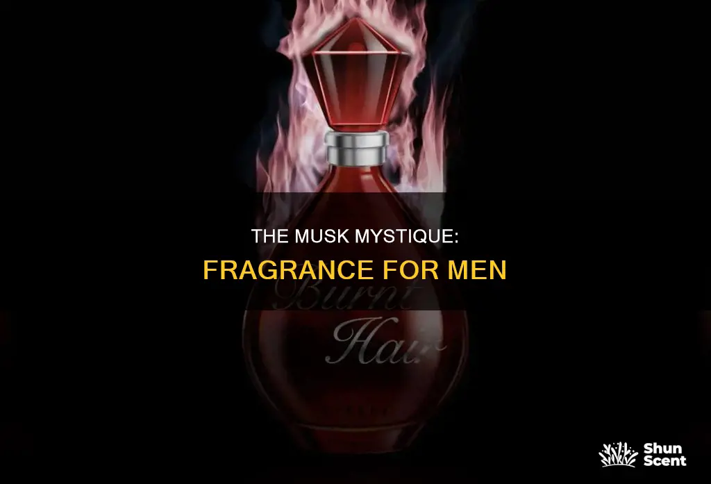 is elon musk a brand of fragrance men colodne