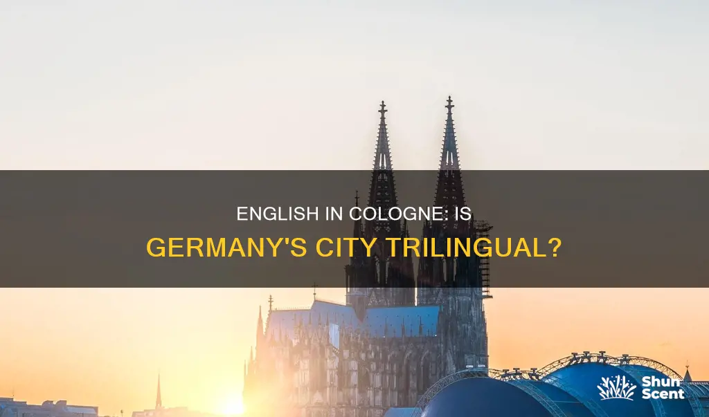 is english spoken in cologne germany