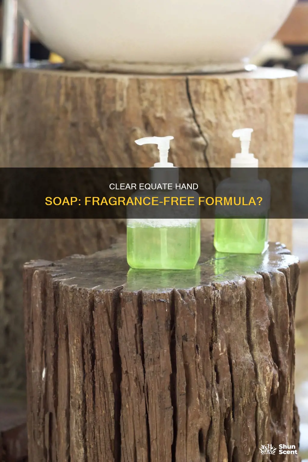 is equate clear hand soap fragrance free