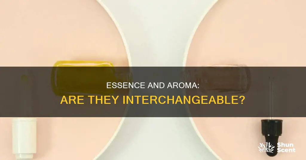 is essence and aroma the same