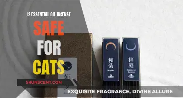 Incense and Cats: Are Essential Oils Safe?