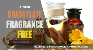 Ethylene Brassylate: Fragrance-Free or Not? Unveiling the Mystery