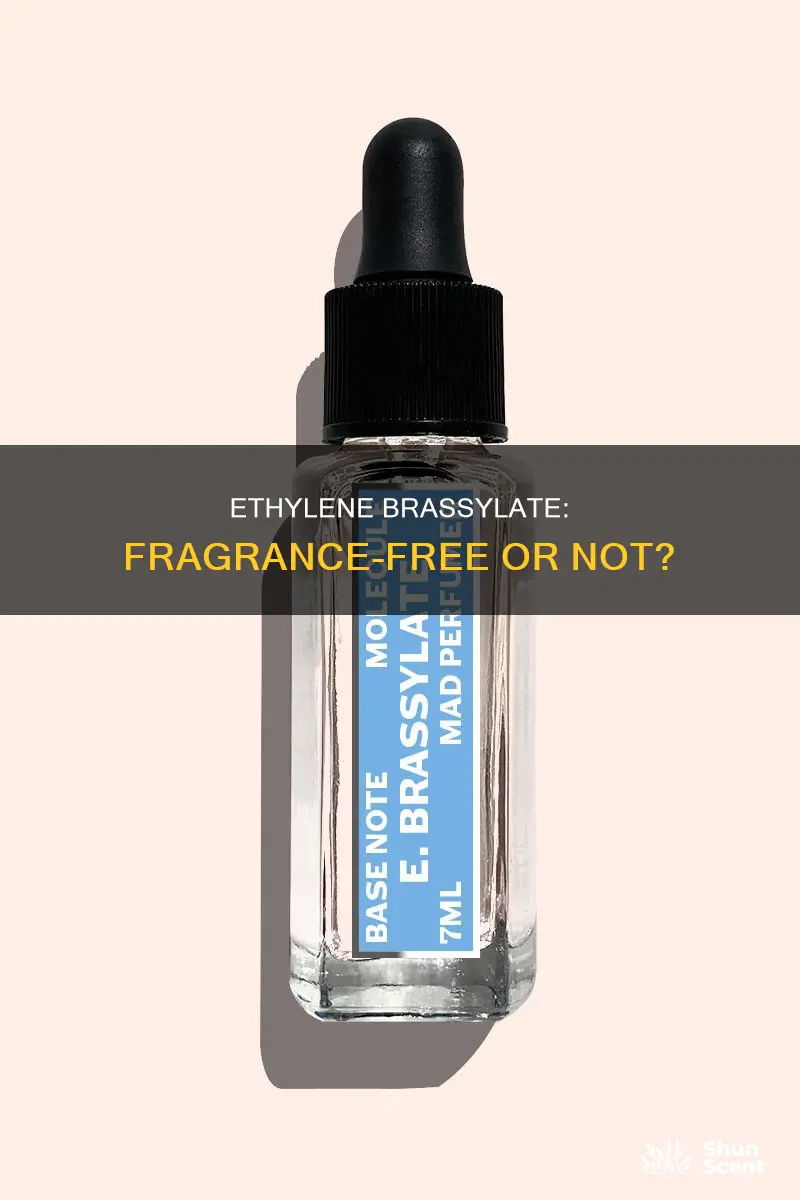 is ethylene brassylate fragrance free