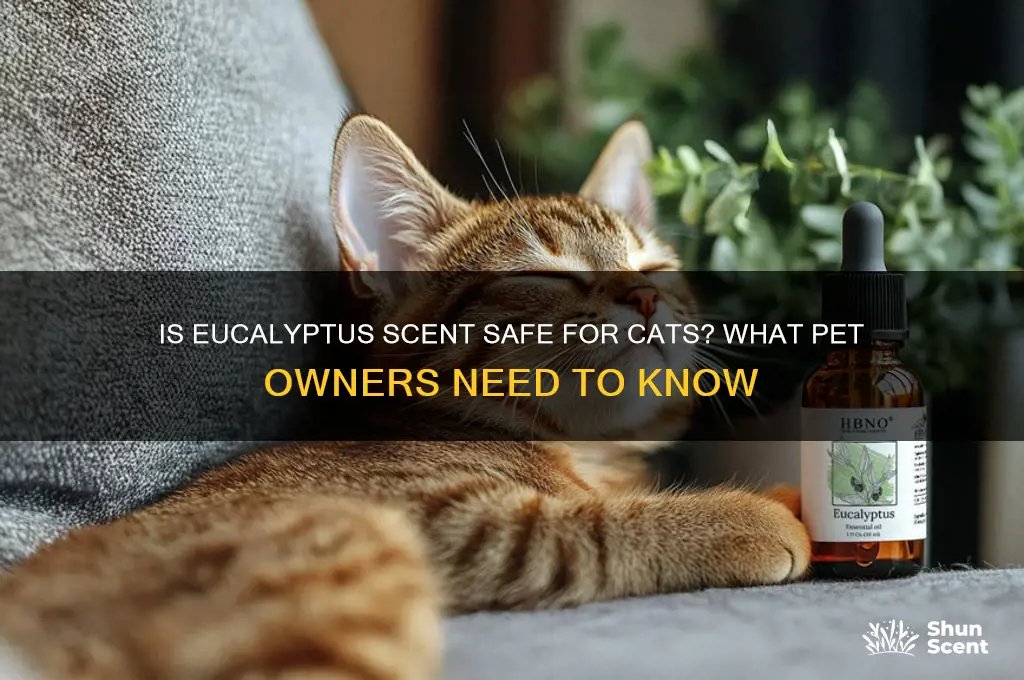 is eucalyptus scent safe for cats