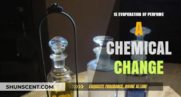 How Evaporation Transforms Perfume: A Chemical Change