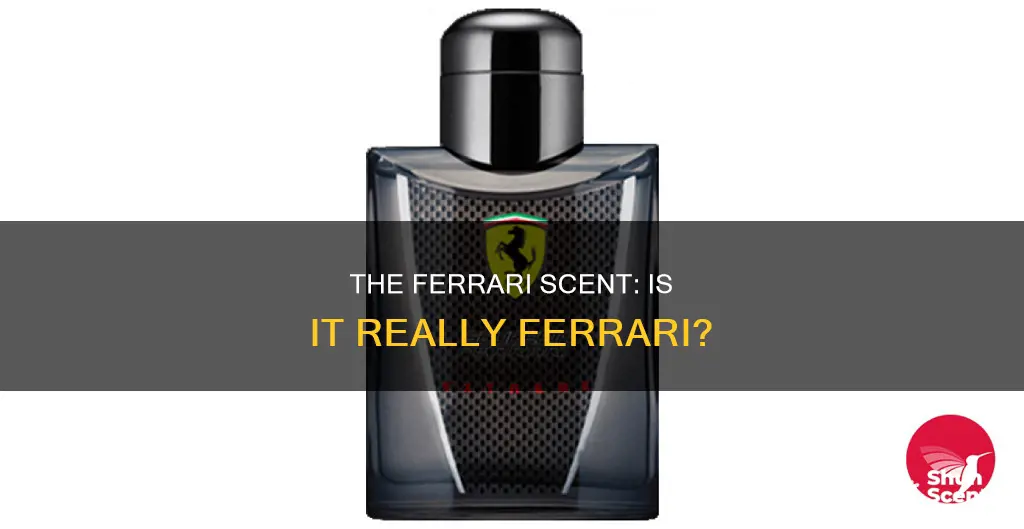 is ferrari cologne really ferrari