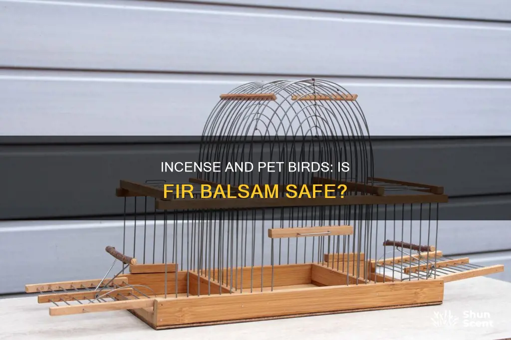 is fir balsam incense healthy for birds