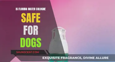 Florida Water Cologne: Safe or Harmful for Dogs?