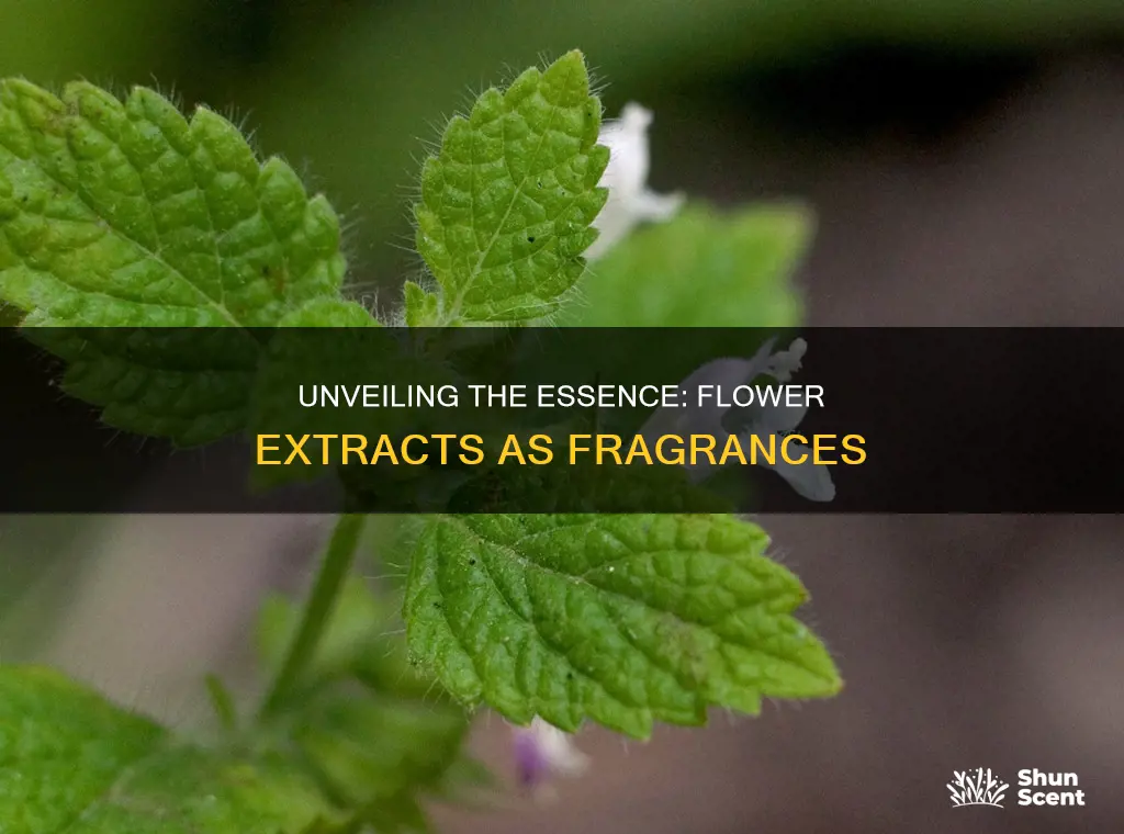 is flower extract a fragrance