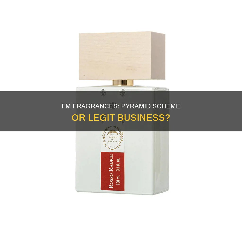 is fm fragrances a pyramid scheme