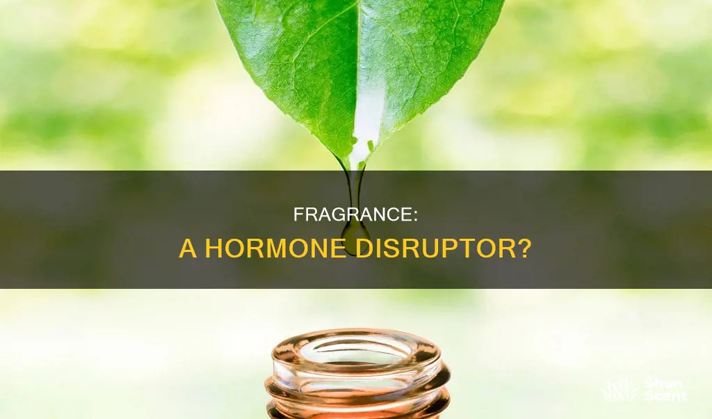 is fragrance a hormone disruptor