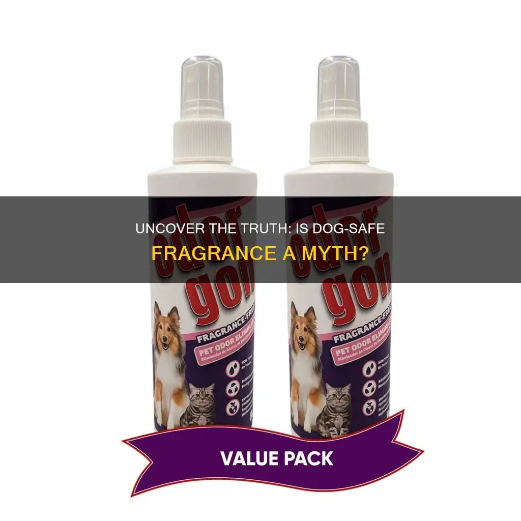 is fragrance bad for dogs