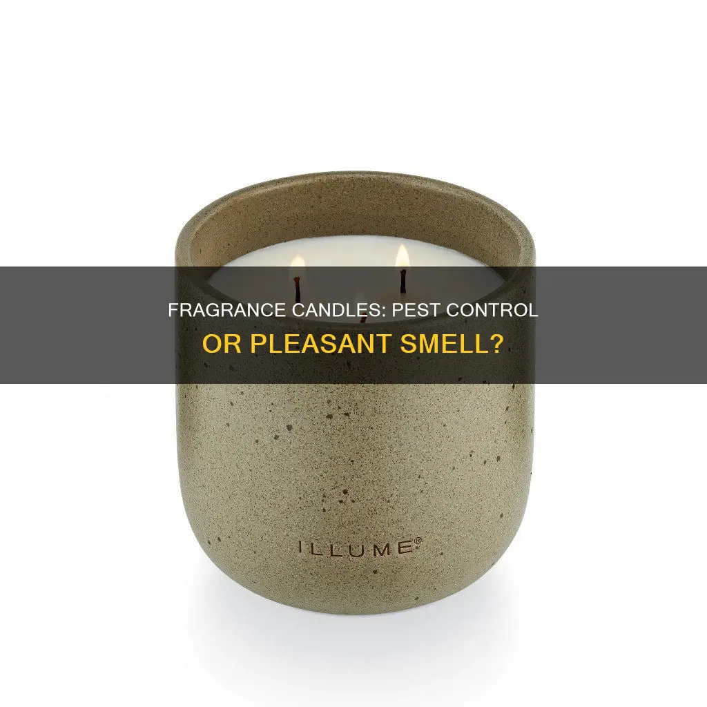 is fragrance candle an indoor pesticide