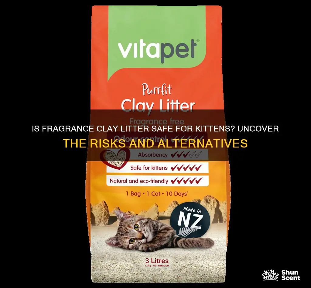 is fragrance clay litter safe for kittens