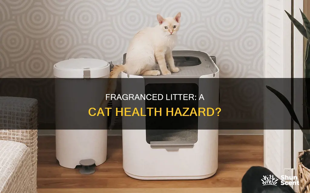 is fragrance litter bad for cats