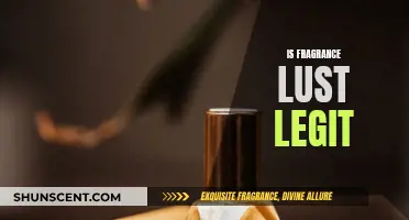 Fragrance Lust Legitimacy: Is It Worth the Hype?
