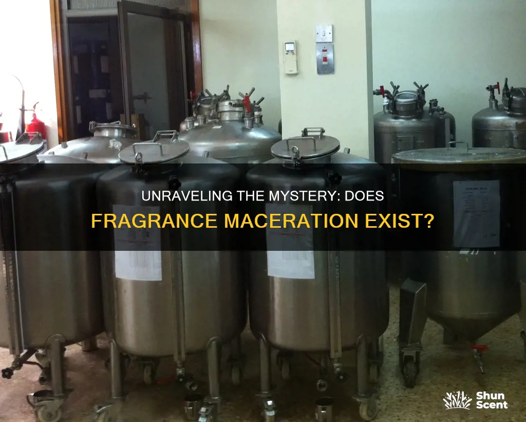 is fragrance maceration real