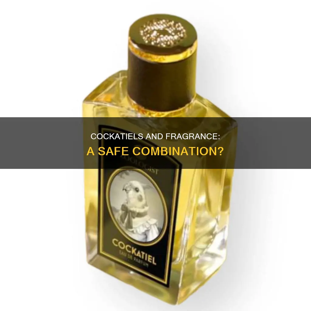 is fragrance nace for cockatiels